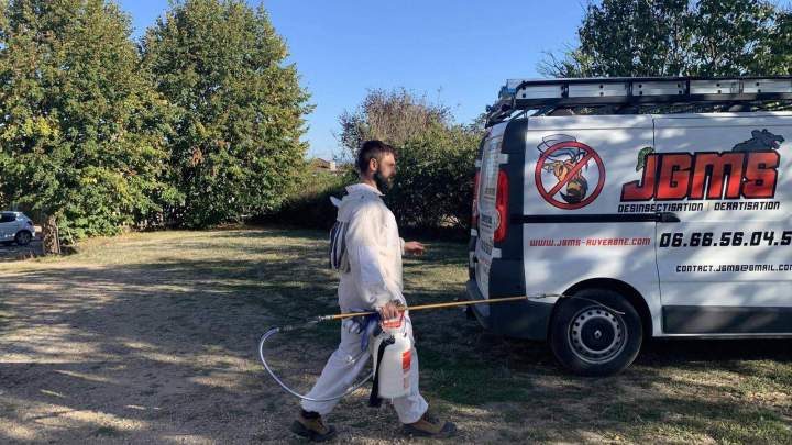 Élimination des nuisibles Vichy