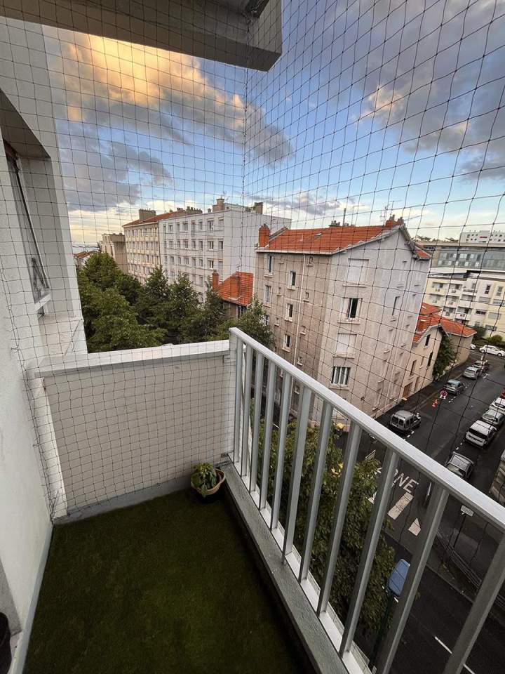 Dépigeonnage professionnel Vichy