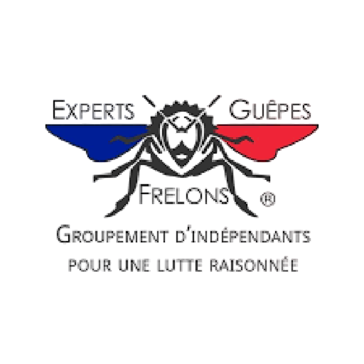 Logo Expert Guêpes Frelons